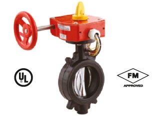 İzlenebilir Kelebek Vana | DN250 300psi | Global Safety